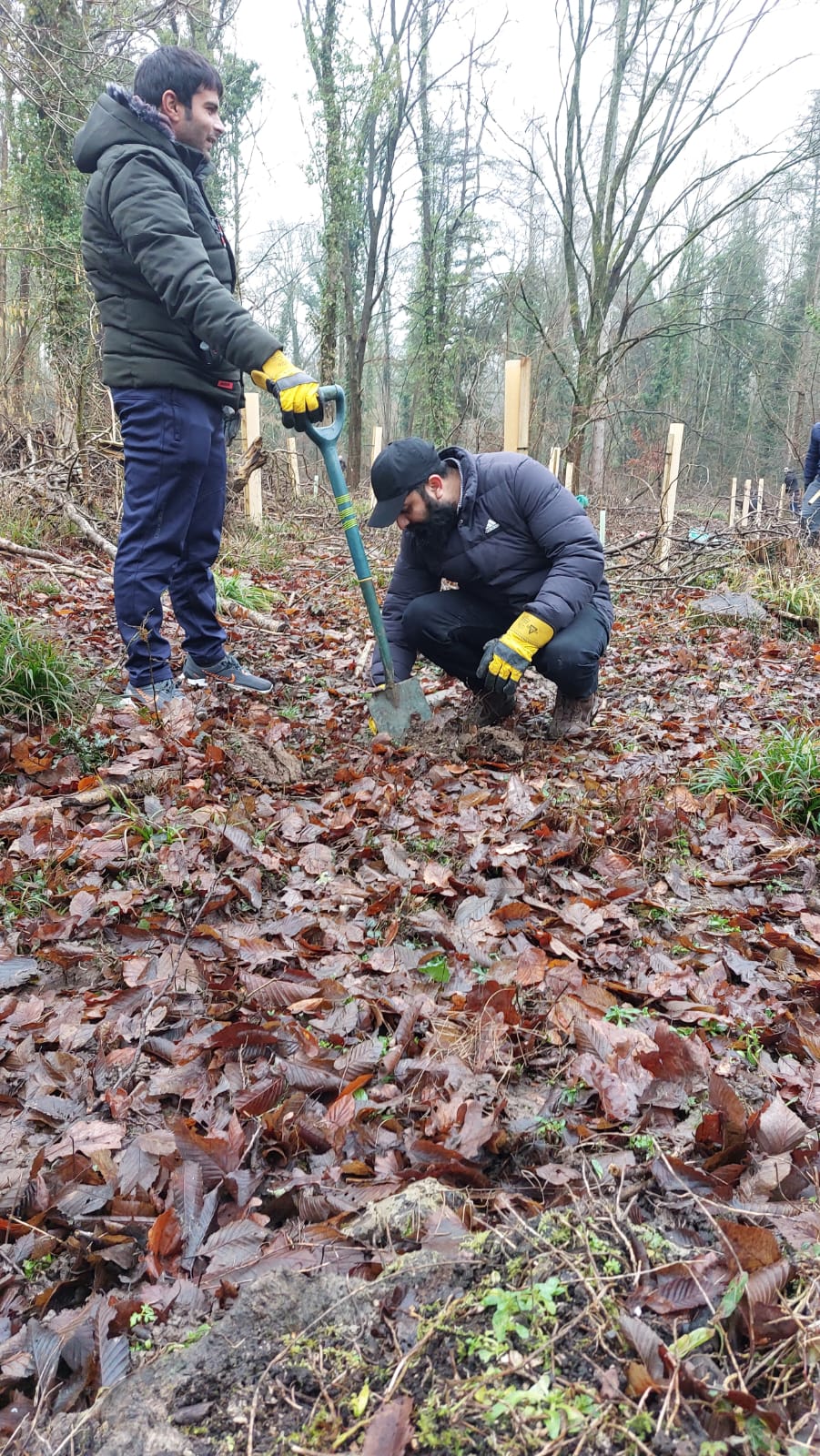 WhatsApp Image 2025-02-10 at 10.41.51 AM (1)