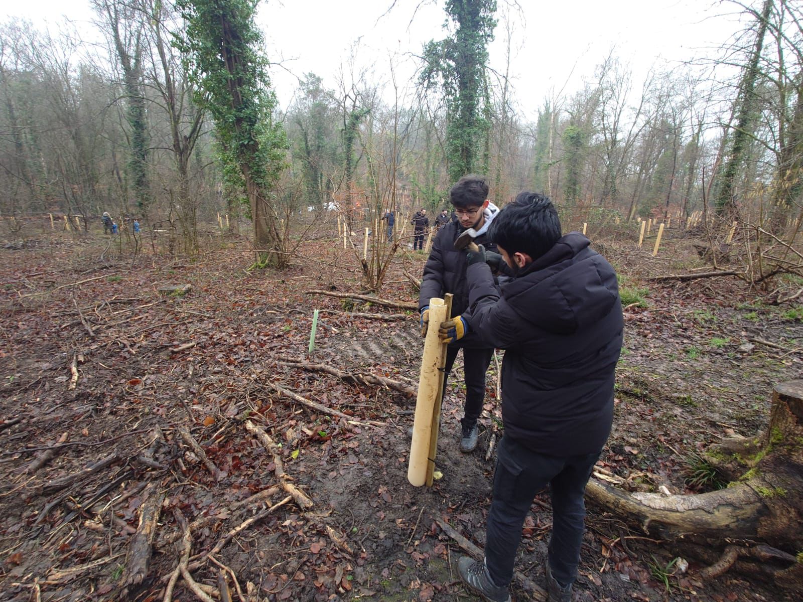 WhatsApp Image 2025-02-27 at 20.49.32 (3)